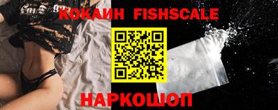 гидра Кинель