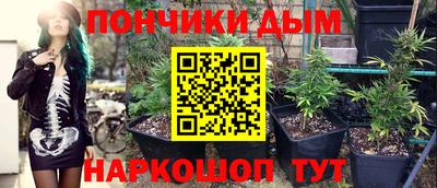 гидра Кинель