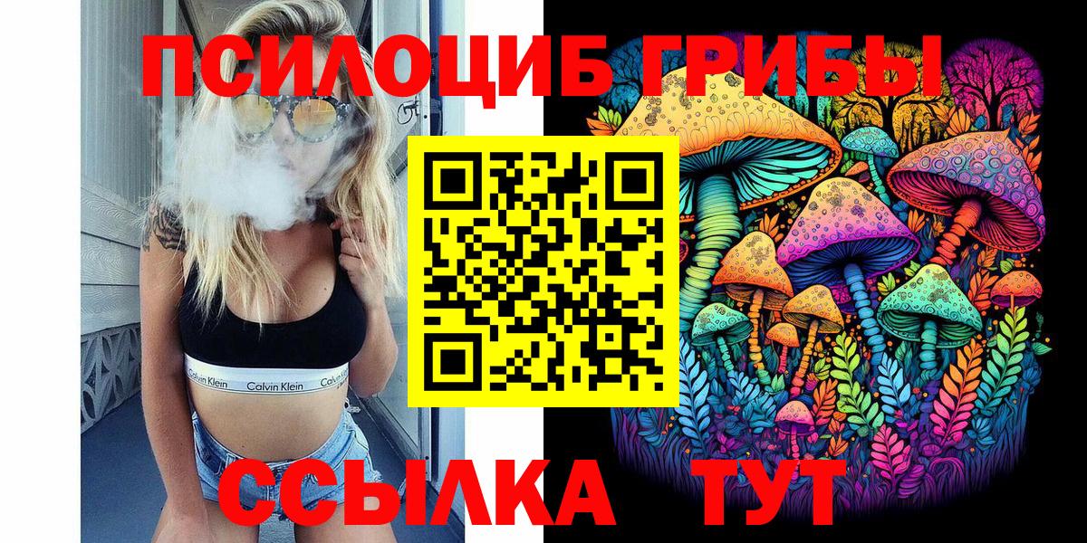 Псилоцибиновые грибы MAGIC MUSHROOMS  Вход с VPN  Шали 