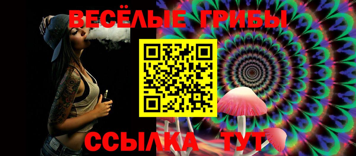 Галлюциногенные грибы мицелий Шали